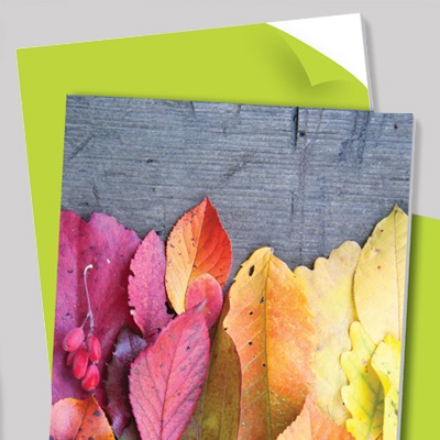 palight print web b 400 x 400 (1)