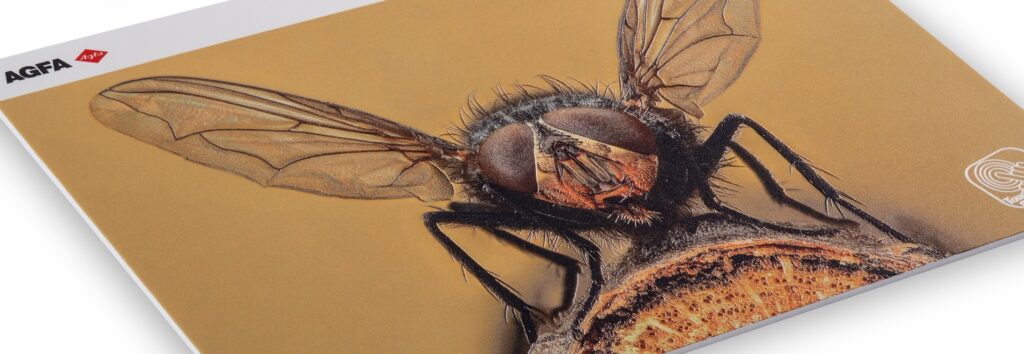 hero1 palight premium 1 1024x354